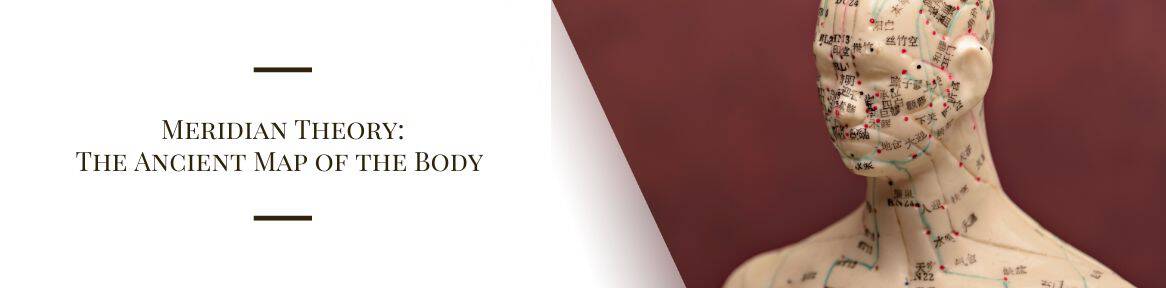 Meridian Theory: The Ancient Map of the Body 