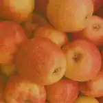 Why Fall Is the Perfect Season to Rebuild Healthy Habits