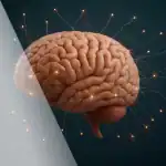 Acupuncture for Stroke Recovery: Rebuilding the Brain